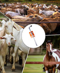 Heavy Duty Gate Anchor Cane Bolt 18 Inch Drop Rod For Farm Garden And Ranch Fence Gates Prevent Swinging And Sagging With Durable Rust Resistant Zinc Plated Steel Construction For Reliable Gate Support
