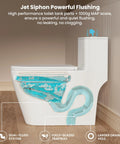 Slick Modern Elongated One Piece Toilet With Skirted Seamless Build And 17 Inch Comfort Chair Height Seat Delivers Knockout Siphon Flush Power showcasing jet siphon flushing system.