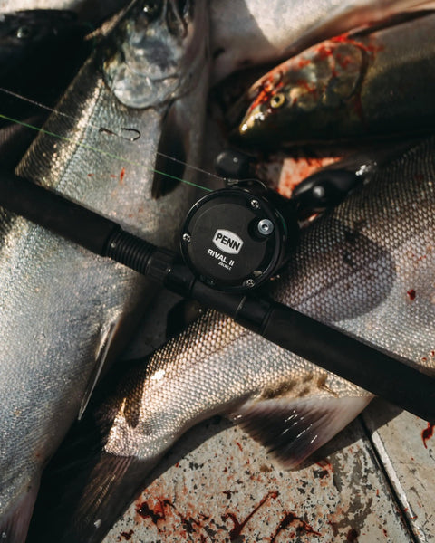 Rival Level Wind Conventional Fishing Reel Size 30 Packing Badass Heavy Graphite Frame And Corrosion Resistant Brass Gears on fish