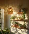Homebody Essential Plug In Pendant Light Featuring Hand Woven Rattan And Wicker Egg Shade With 15 Ft Cord, illuminating a cozy living room.