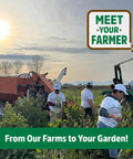 Farmers harvesting crops in a field with machinery under a clear sky, emphasis on local farming and connection to consumer gardens.