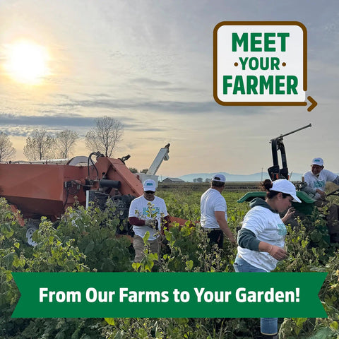 Farmers harvesting crops with tractor in sunrise, "Meet Your Farmer" sign and text "From Our Farms to Your Garden!" visible.