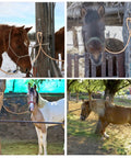 Blocker Tie Ring For Horses Sturdy Stainless Steel Horse Tie Ring To Prevent Pulling Back Ideal For Ties, Various Settings