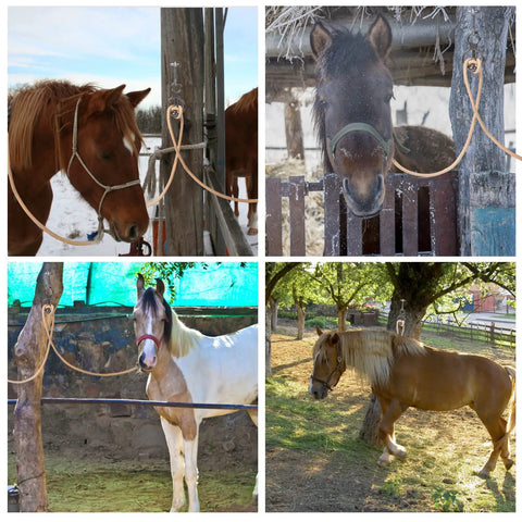 Blocker Tie Ring For Horses Sturdy Stainless Steel Horse Tie Ring To Prevent Pulling Back Ideal For Ties, Various Settings