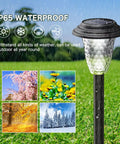 Color Changing Solar Pathway Lights 8 Pack Outdoor Dual Mode Warm White And Colorful LED Garden Path Lights in rainy weather
