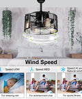 18 Inch Caged Ceiling Fan With Light And Remote Dope Industrial Farmhouse Style Modern Flush Mount in bedroom setting