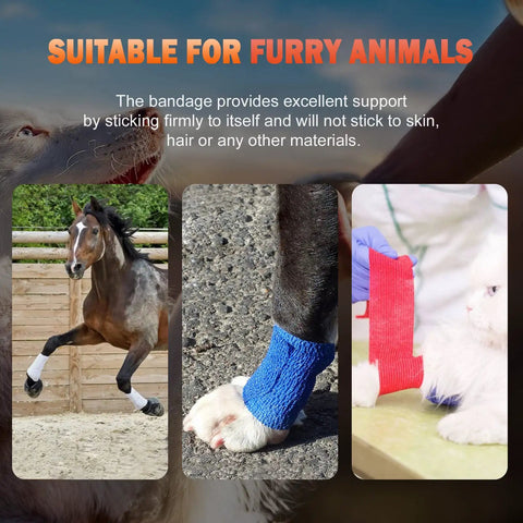Self Adhering Bandage Wrap 12 Pack 2 Inch By 5 Yard Nonwoven Self Adhesive Bandage Tape used on horse, dog, and cat paws