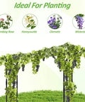 Extra Large Garden Arch Trellis With Flat Top Design, 106.3 Inch L by 106.3 Inch H, ideal for climbing roses and wisteria
