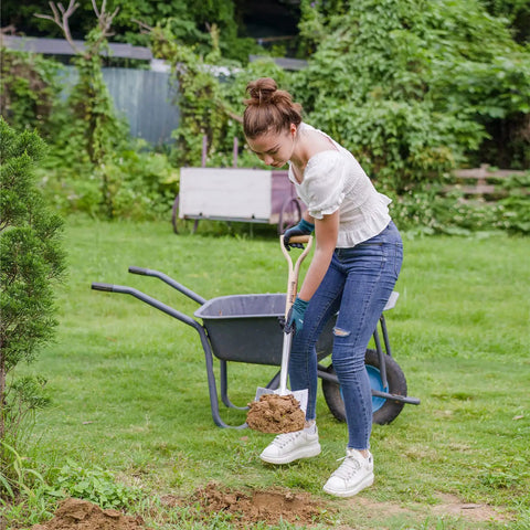 Person using Heavy Duty 41 Inch Stainless Steel Border Spade With D Grip Handle For Garden Digging And Transplanting