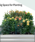 Galvanized Raised Garden Bed With Two Roomy Planter Compartments 71 By 35 By 12 Inches Outdoor Garden Box For Veggies Flowers And Herbs