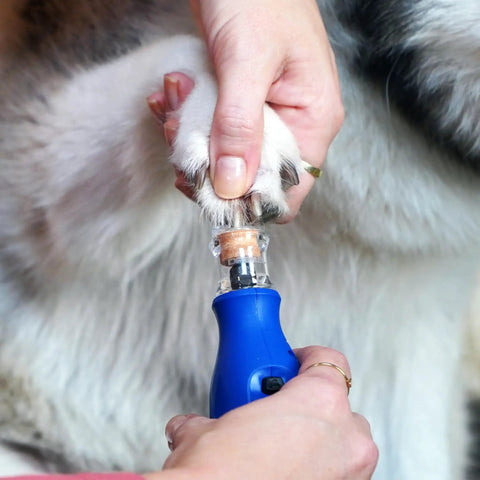 Person using the No-Fuss Rechargeable Pet Claw Grinder For Dogs And Cats Quiet Lightweight Rotary Nail Trimmer on a pet's paw.