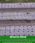 Heavy Duty 4 Mil Black Plastic Sheeting Weed Barrier For Outdoor Gardens installed in garden with holes for plants