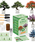Beginner Bonsai Kit With Five Seed Packets Five Grow Pots And Essential Tools For Indoor Bonsai Growth All In One DIY Craft Gardening Set
