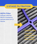 Close-up of Two Pack True HEPA Filter Replacement With Activated Carbon showing 2-stage filtration for Dyson TP06.