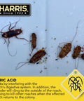 Heavy Duty Boric Acid Roach And Silverfish Killer Dust With Irresistible Lure For Fast Acting Bug Nuking And Long Lasting Puffer Bottle Pest Control Kit 16 Oz. showing roaches with boric acid dust.