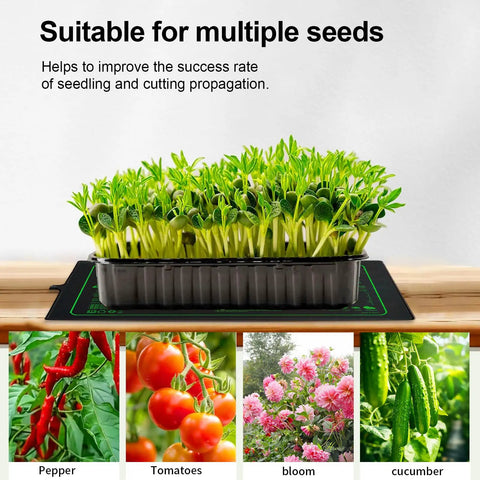 20 Inch By 10 Inch Waterproof Seedling Heat Mat With ETL Certification For Consistent Germination, Indoor Plant Growing, Hydroponics, And Seed Starting In Greenhouse And Cuttings