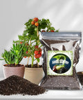 Organic Seed Starter Mix For Fast Germination And Strong Root Systems, Premium Potting Soil 1 Quart with plants and bag
