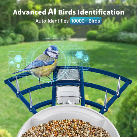 Smart Bird Feeder With Camera, Solar Powered Outdoor Feeder With AI Bird Identification showcasing AI bird recognition