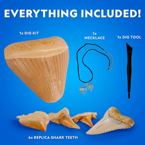 Shark Tooth Dig Kit Excavate Replica Fossils From Ancient Sharks And Make A Shark Tooth Necklace STEM Science Kit For Kids Ages 6 To 8 with dig tool and necklace.