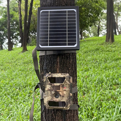 5W 12V Trail Camera Solar Panel Charger Kit With 5200mAh Battery on tree for wildlife monitoring