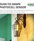 Outdoor wall lantern with Six Pack Dusk To Dawn T10 Tubular LED Filament Bulbs emitting light in dim conditions.