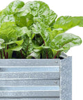 Galvanized Raised Garden Beds 3 Pack 8x4x1 Ft Each With Overlapping Four Inch Panels And Two Row Screws A Heavy Duty Metal Planter Box