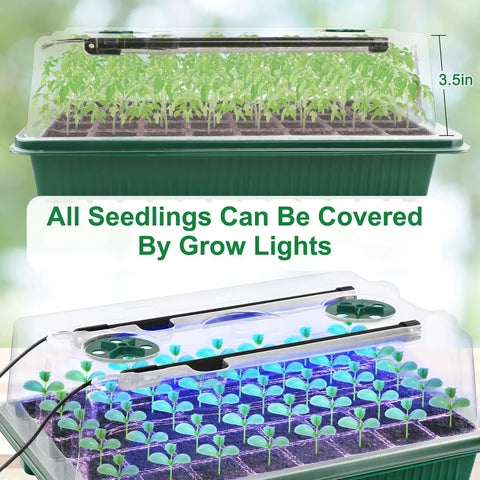 2-Pack 80-Cell Seed Starter Tray Kit With Plug-and-Play Grow Lights, Humidity Dome showcasing seedlings under LED lights