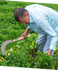 Man using Long Handled Mowing Knife Garden Hoe With Wooden Handle For Weeding And Harvesting Multipurpose Gardening Tool in field