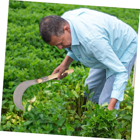 Man using Long Handled Mowing Knife Garden Hoe With Wooden Handle For Weeding And Harvesting Multipurpose Gardening Tool in field