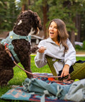 Woman seated in HEX 2.0 No Frills Outdoor Chair For Camping And Stadium Seating With All Terrain Comfort Adjustable Straps Ultra Compact And Water Resistant Easy To Carry Olive And Slate Color, with a dog in a park.
