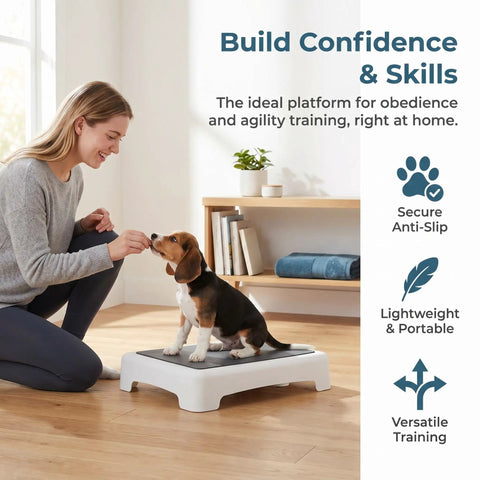 Portable Puppy Training Platform With Non Skid Surface For Indoor And Outdoor Dog Agility Practice Slip Resistant Plastic Board For Small Breeds Safe Obstacle Training Tool For Early Obedience And Fun with dog and person