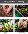 Collage of seed sowing, seedlings, plant growth, and transplanting with 8 Pack 24 Cell Seed Starter Trays Kit With Humidity Dome And Base.