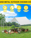 Huge Walk In Metal Chicken Coop With Heavy Duty Poultry Cage Waterproof UV Resistant Cover and Lockable Doors with chickens inside