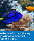 Zero Drama Saltwater Aquarium Water Test Kit Providing 550 Rock Solid Tests for Salinity pH Ammonia And Nitrites with colorful fish swimming.