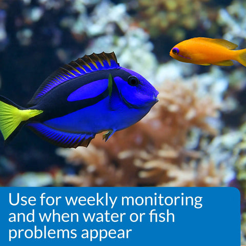 Zero Drama Saltwater Aquarium Water Test Kit Providing 550 Rock Solid Tests for Salinity pH Ammonia And Nitrites with colorful fish swimming.