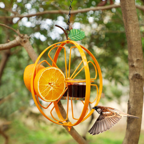 Bright orange Oriole Bird Feeder For Outdoors Jelly And Oranges Glass And Powder Coated Metal Hanging Feeder with Clear Jelly Cup.