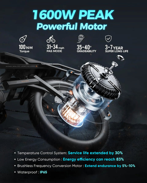 Shred All Day On This 2025 Romeo Pro II 4000W Dual Motor Electric Bike For Adults With 52V 70Ah Battery full view of powerful 1600W motor and fat tire.