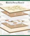 Diagram showing layers of 11x11 Inch 10 Layer Flower Press Kit For Diy Crafts Pressed Flowers And Plant Pressing Ideal For Wedding Bouquets Spring Blooms Herbs And Leaves To Create Totally Dried Florals Keepsakes Frames And Centerpieces.