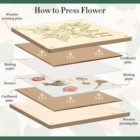 Diagram showing layers of 11x11 Inch 10 Layer Flower Press Kit For Diy Crafts Pressed Flowers And Plant Pressing Ideal For Wedding Bouquets Spring Blooms Herbs And Leaves To Create Totally Dried Florals Keepsakes Frames And Centerpieces.