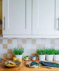 Kitchen featuring 30 Pack 6 Inch Brushed Nickel Stainless Steel Cabinet Pulls for Kitchen Cupboards and Cabinets on white cabinets.