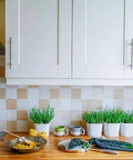 Modern kitchen with 60 pack 6 inch cabinet pulls in brushed nickel stainless steel, sleek modern handles on white cupboards.