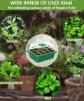 10 Pack Seed Starter Tray Kit With Humidity Dome 120 Cell Trays For Germination And Seedlings showing diverse plant uses.