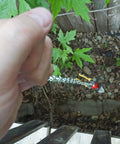 Hand holding a tool near a cable, with leaves and rocks visible below.
