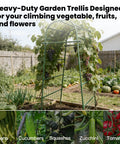 7 Foot Tall Garden Arch Trellis For Outdoor Climbing Plants Heavy Duty Metal Archway Arbor with vegetables and flowers
