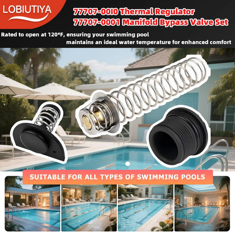 LOBIUTIYA pool heater regulator kit: metal spring regulator, brass valve core, and black threaded fitting.