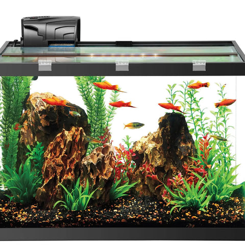 Clear Plastic Hinges 8 Pack Self Adhesive Acrylic Piano Hinges For Cabinets Lids Drawers And DIY Furniture Projects Easy Install No Tools Needed 2.5x3.5 cm Transparent Lightweight Folding Hinge For Display Stands Aquarium shown on aquarium lid
