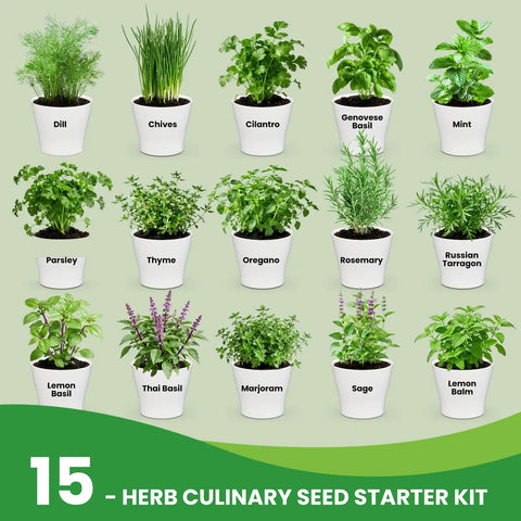 Ultimate 15 In 1 Herb Garden Starter Kit showcasing pots with 15 popular herb seeds, including dill, chives, and basil.