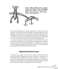 Illustration of soft and hard-body fishing lures showcasing realistic designs for bass and trout fishing in The Legit DIY Fishing Lure Making Guide To Craft Custom Plugs Spinners Spoons And Jigs That Truly Crush It For Bass Trout Anglers Looking To Amp Up Their Tackle Bag Game.