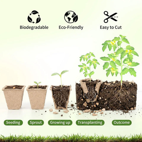 144 Cell Seed Starter Tray With Biodegradable Peat Pots 12 Pack Plant Starter Kit For Seedlings With 50 Labels And Transplanting Tools showing growth stages from seeding to outcome