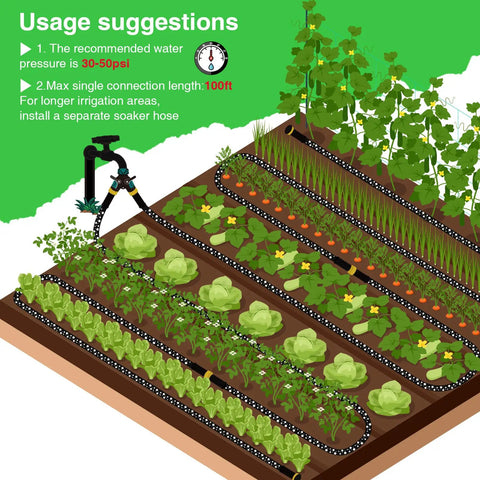 Illustration showing Heavy Duty Thickened Flat Soaker Hose 100Ft With Copper Joint in veggie patch with watering instructions.